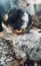 Load image into Gallery viewer, Tooled Dog Collar-Green Cacti and Sunflower