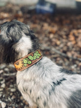 Load image into Gallery viewer, Tooled Dog Collar-Green Cacti and Sunflower