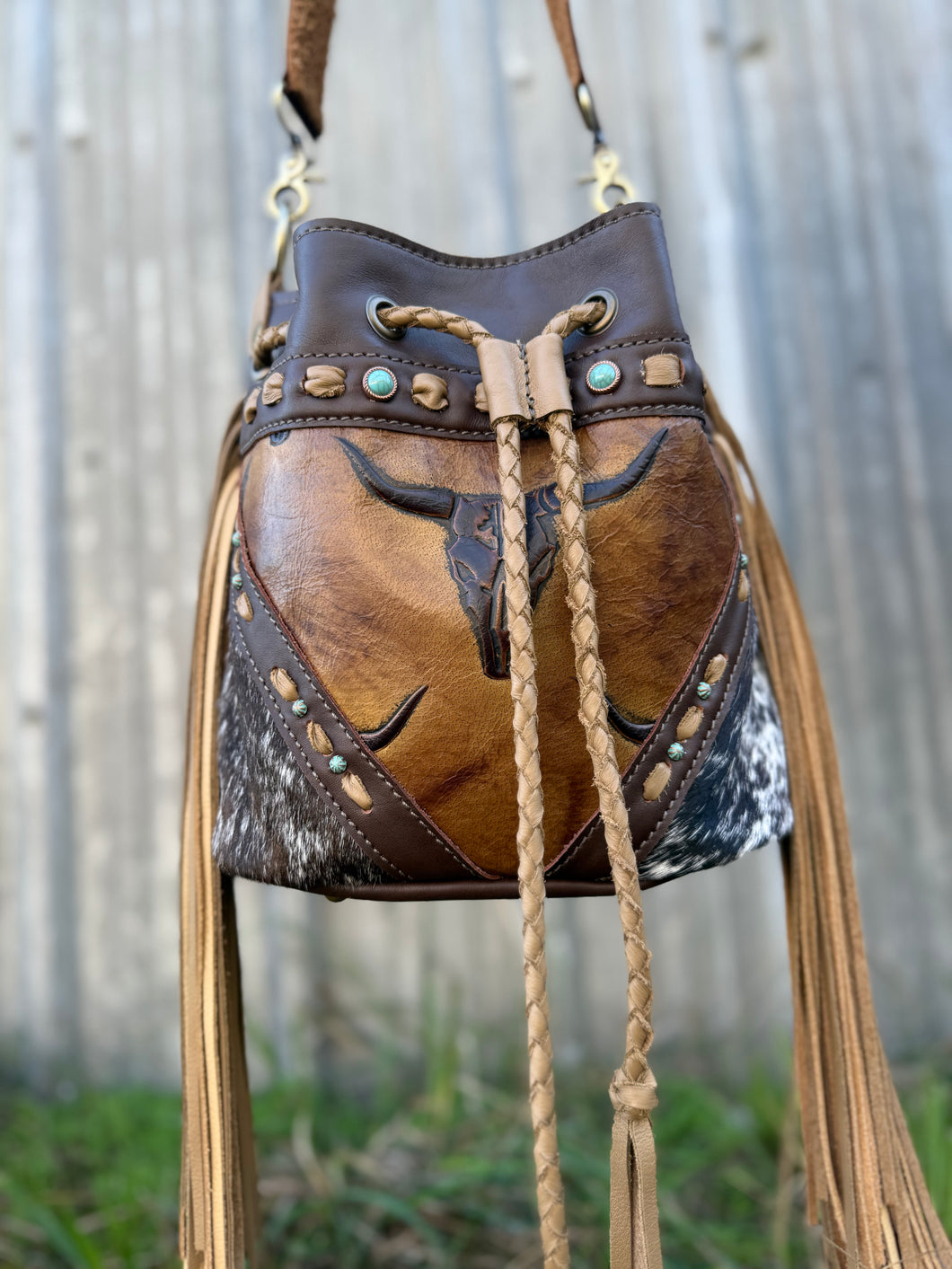 Longhorn Brumby