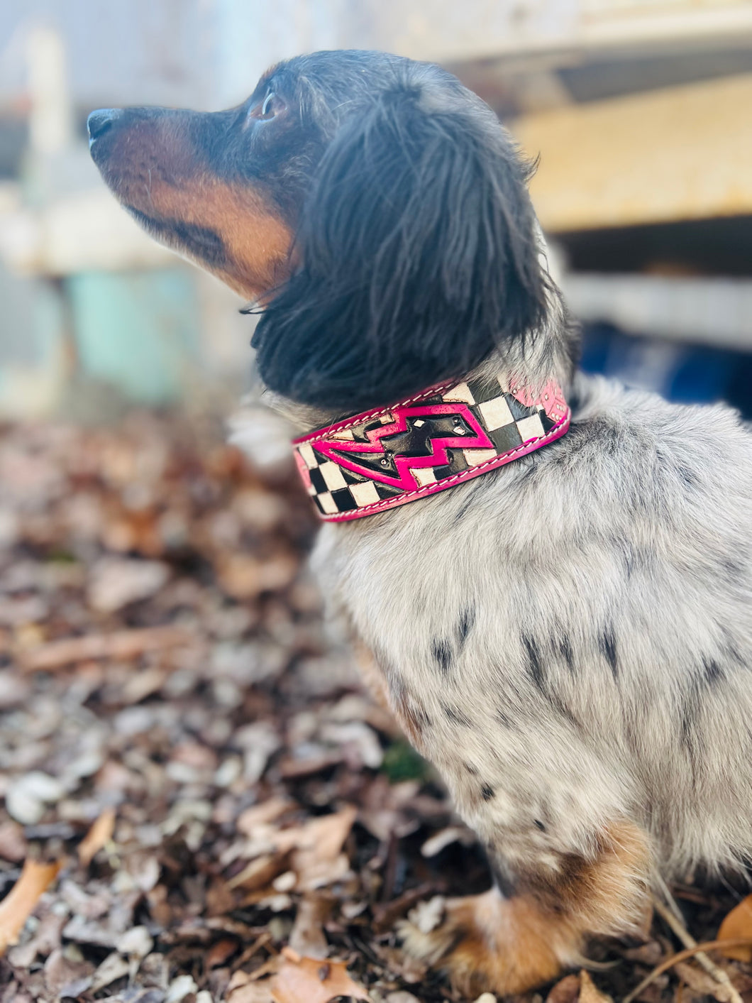 Tooled Dog Collar-Pink Lighting Bolt