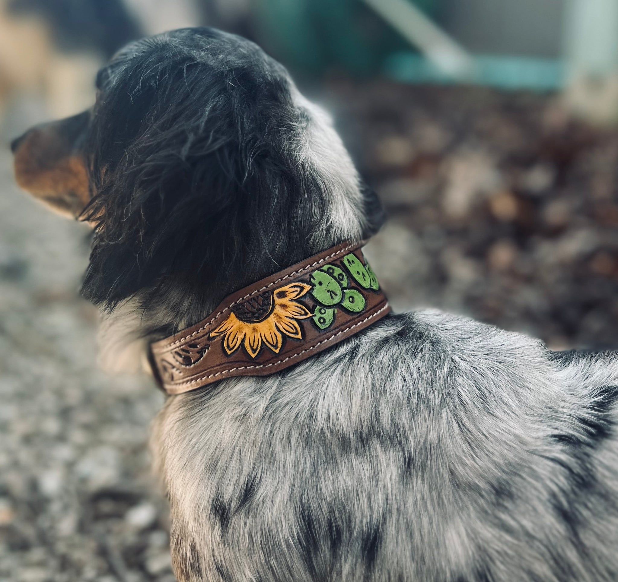 Tooled Dog Collar-Green Cacti and Sunflower – L3 Designs Leather