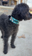 Load image into Gallery viewer, Tooled Dog Collar-Turq Lighting Bolt
