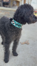 Load and play video in Gallery viewer, Tooled Dog Collar-Turq Lighting Bolt
